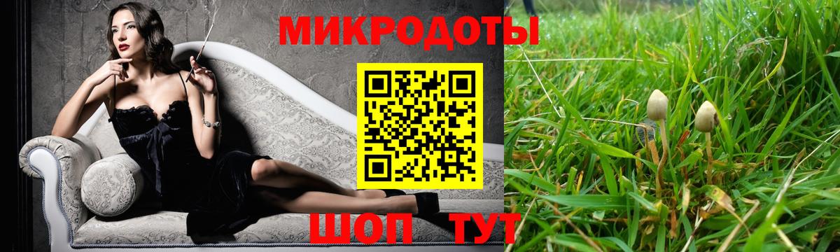 купить  цена  Вход с VPN  Волгоград  Галлюциногенные грибы Psilocybine cubensis 