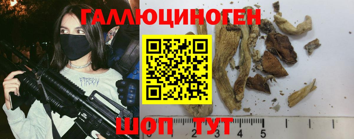 Псилоцибиновые грибы Magic Shrooms Волгоград